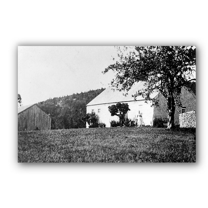 Four Generations in Maine: The Carroll Homestead of Southwest Harbor: 1825-1917