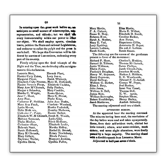 Report of the Women's Rights Convention