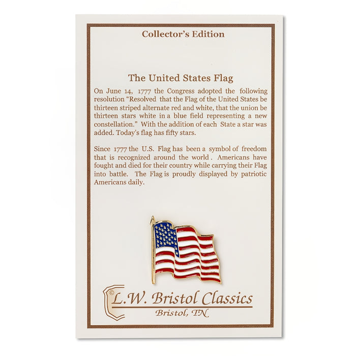 Wavy US Flag Pin