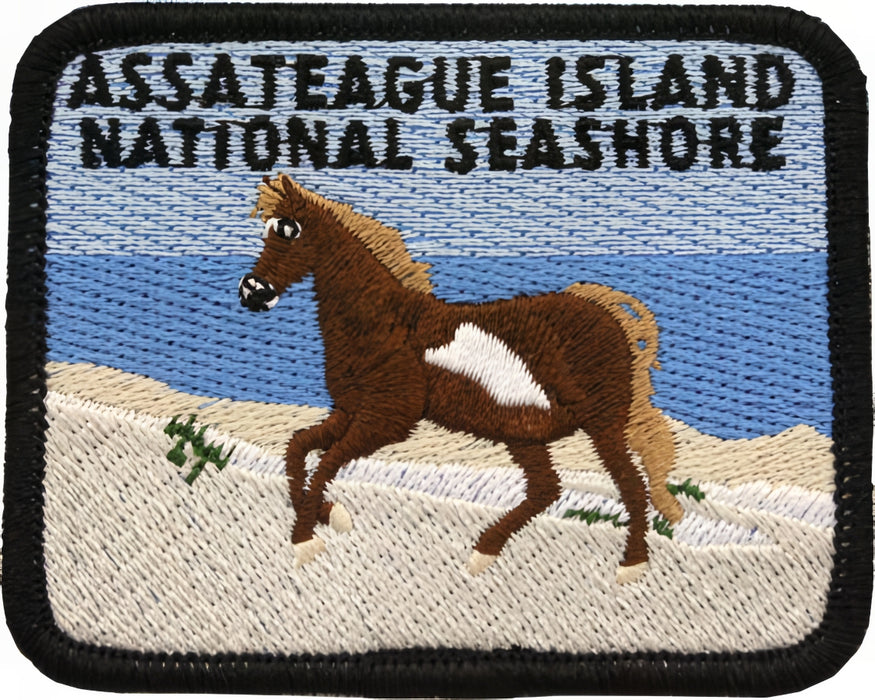 Assateague Island Survivor Patch