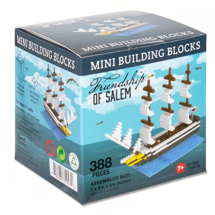 Friendship of Salem Mini Blocks