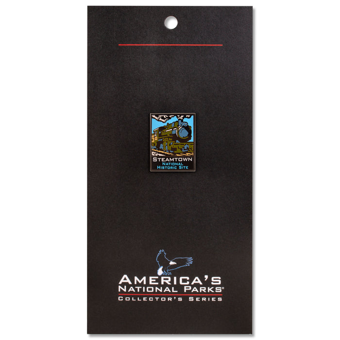 ANP Steamtown Pin