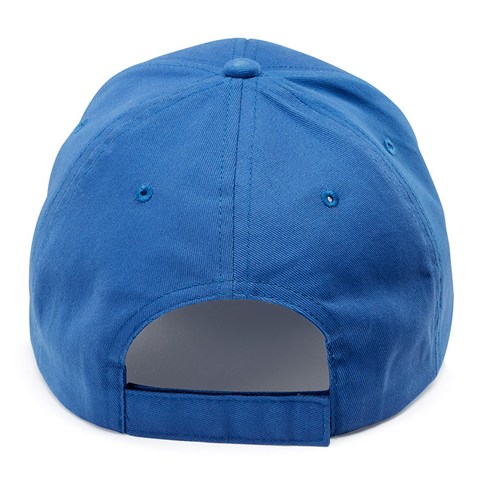 Arlington National Cemetery Cap