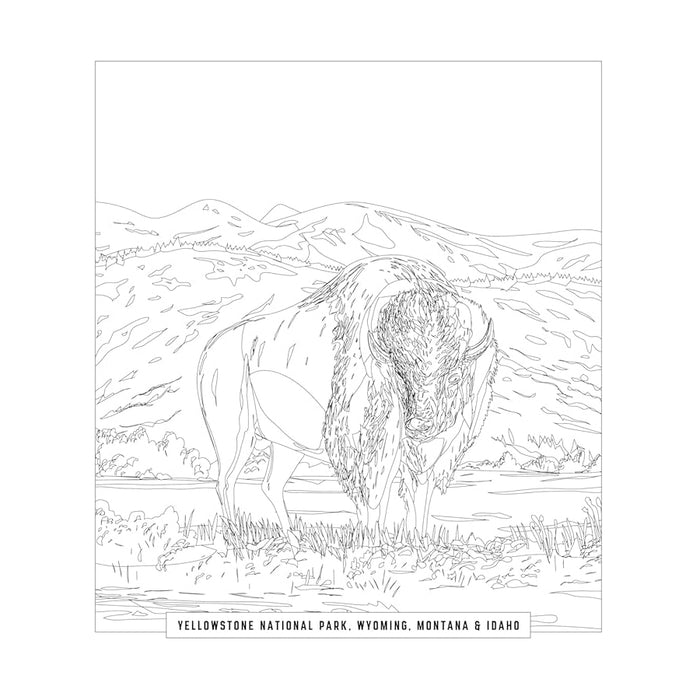 National Parks Activities Kit