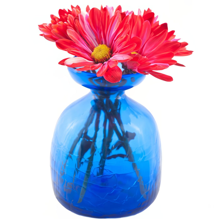 Cobalt Glass Bulb Forcer