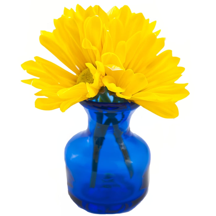 Cobalt Glass Pharmaceutical Phial