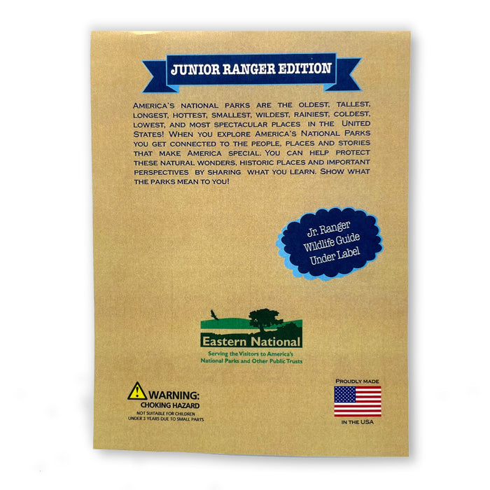 Junior Ranger Bracelet – Compass