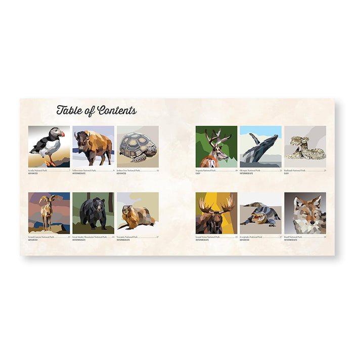 National Parks of North America Amazing Animals Sticker Painting Book