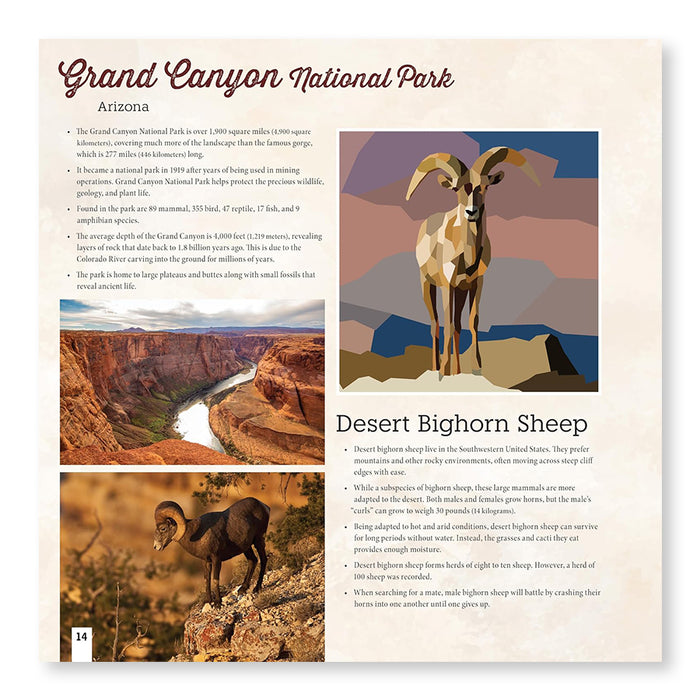 National Parks of North America Amazing Animals Sticker Painting Book