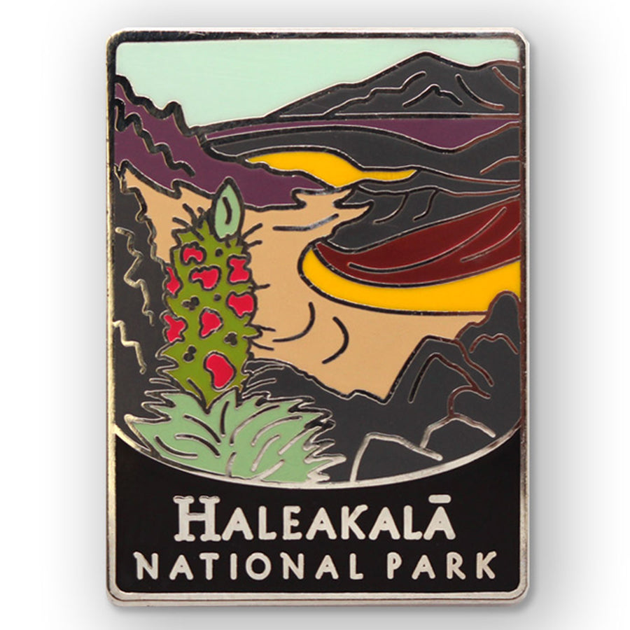 Haleakala National Park Pin — America's National Parks