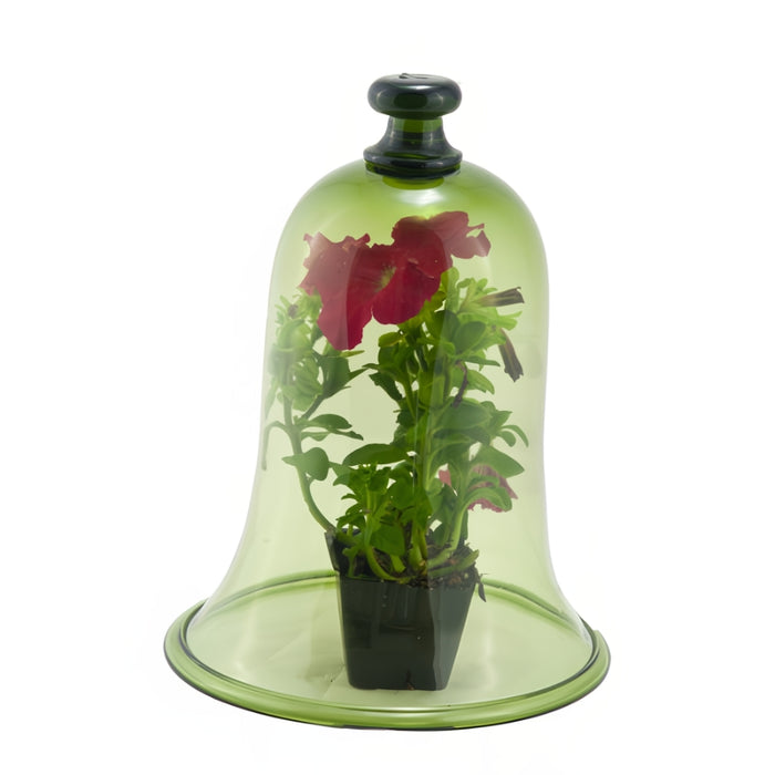 Green Garden Bell Jar