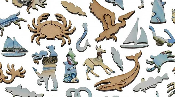 Cape Cod Stories in Every Whimsy Piece